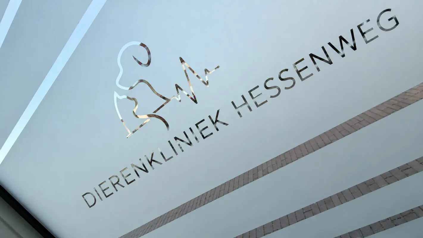 Dierenkliniek Hesenweg De Bilt - gevel reclame bord - gevelreclame - gevel beletteren - bestickeren - gevelreclame letters - gevelreclame lichtbak - led gevelreclame - buitenreclame gevel - verlichte gevelletters - winkel reclame buiten - rvs letters gevel - verlichte gevelreclame - reclame bord winkel - reclame voor winkel - signing reclame - winkel reclame buiten - winkel reclame binnen - pees frame - peesdoek - textieldoek - branding - design - reclame - bouwhekdoek - bannerdoek - bouwhekspandoeken